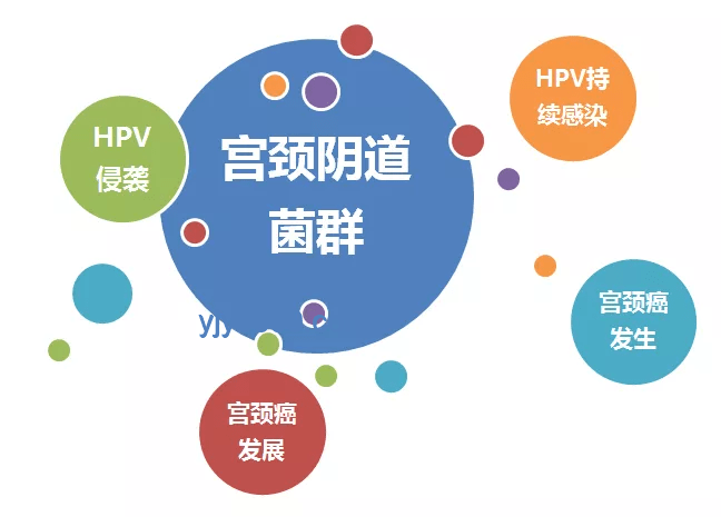 “韦神健康关切：紧急就医呼吁的对比分析”